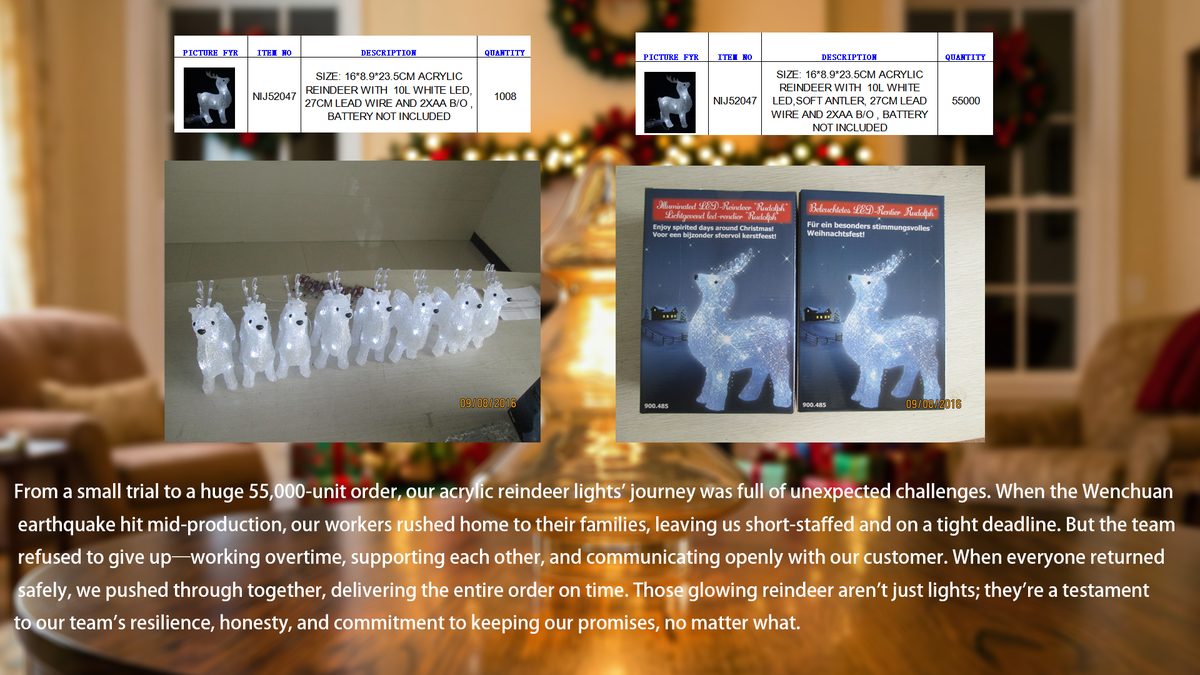Our Story: A Promise Kept: The Reindeer Lights That Defied Adversity